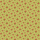 Bloemen op licht groene ondergrond