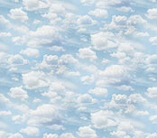 Northcott Naturescapes Wolken