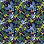 Vogels op een donkerblauwe ondergrond