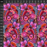 Anna Maria Shooting star 