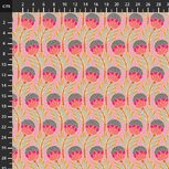 Anna Maria Shooting star 