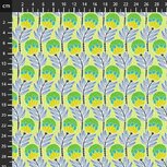 Anna Maria Shooting star 