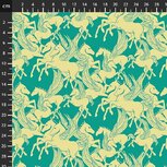 Anna Maria Shooting star 