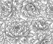 Henry Glass Scarlet's Treasure Peony