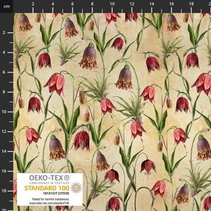 Vintage Windflower