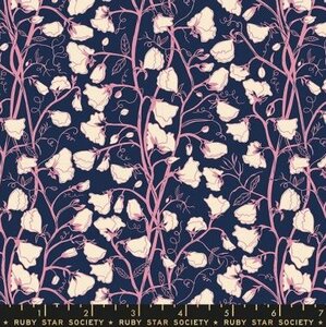 Verbena Ruby Star Society