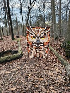 Stoffenpakket uil formaat 60"x82" (153cm x 209cm) inclusief de bies