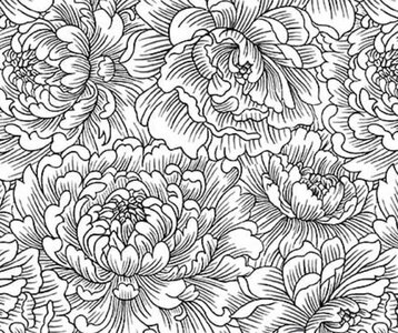 Henry Glass Scarlet's Treasure Peony